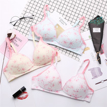 Underwear schoolgirl high school girl bra gathered small chest summer no steel ring thin cotton developmental bra