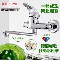 In-wall all copper faucet in-wall kitchen hot and cold water wall water outlet single double hole nozzle Mixing Valve