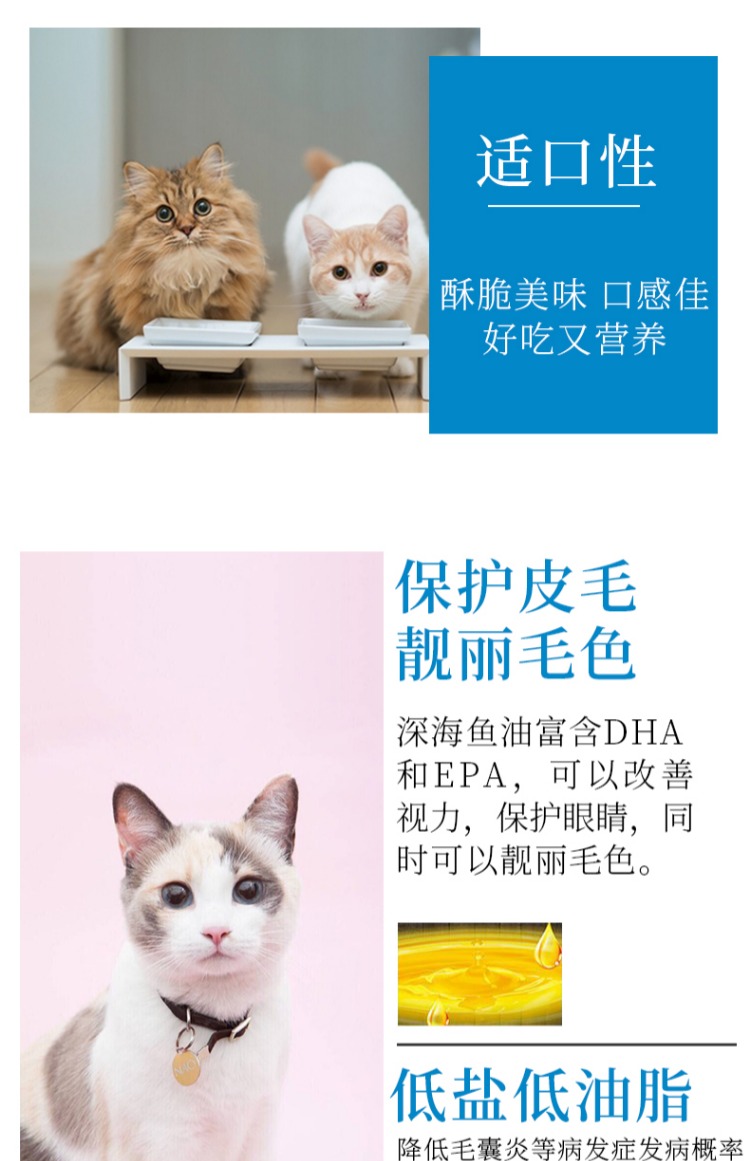 Thức ăn cho mèo poroca Baolejia thức ăn chính cho mèo trong nhà thành thức ăn cho mèo mèo thịt bò đóng hộp hương vị 2,5kg tỉnh hơn Cách mix hạt cho mèo