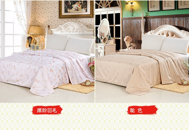 Chống khoan chăn quilt chống xuống duvet chạy nhung len chăn lông lạc đà lông rụng mật độ cao lót