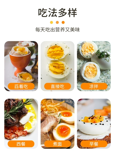 Японская японская яйцо -приготовленная яичная хронет хронет Chameleon Кухонный мультфильм сердцебиение, полузвучный яичный таймер творческий домашний инструмент