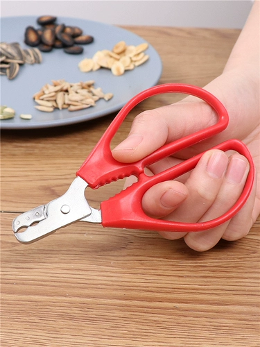 Семена семян бытовых дыни сцена