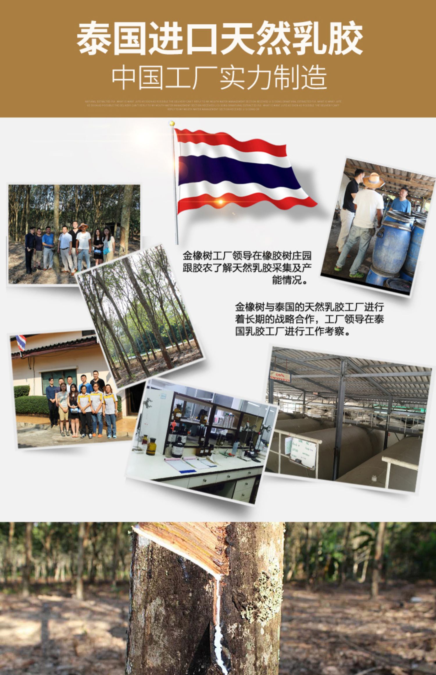 Gỗ sồi vàng Thái Lan nệm cao su thiên nhiên 7cm thêm đay 1,8m1,5m gạo mủ nhập khẩu thoáng khí và bền bỉ - Nệm giá đệm