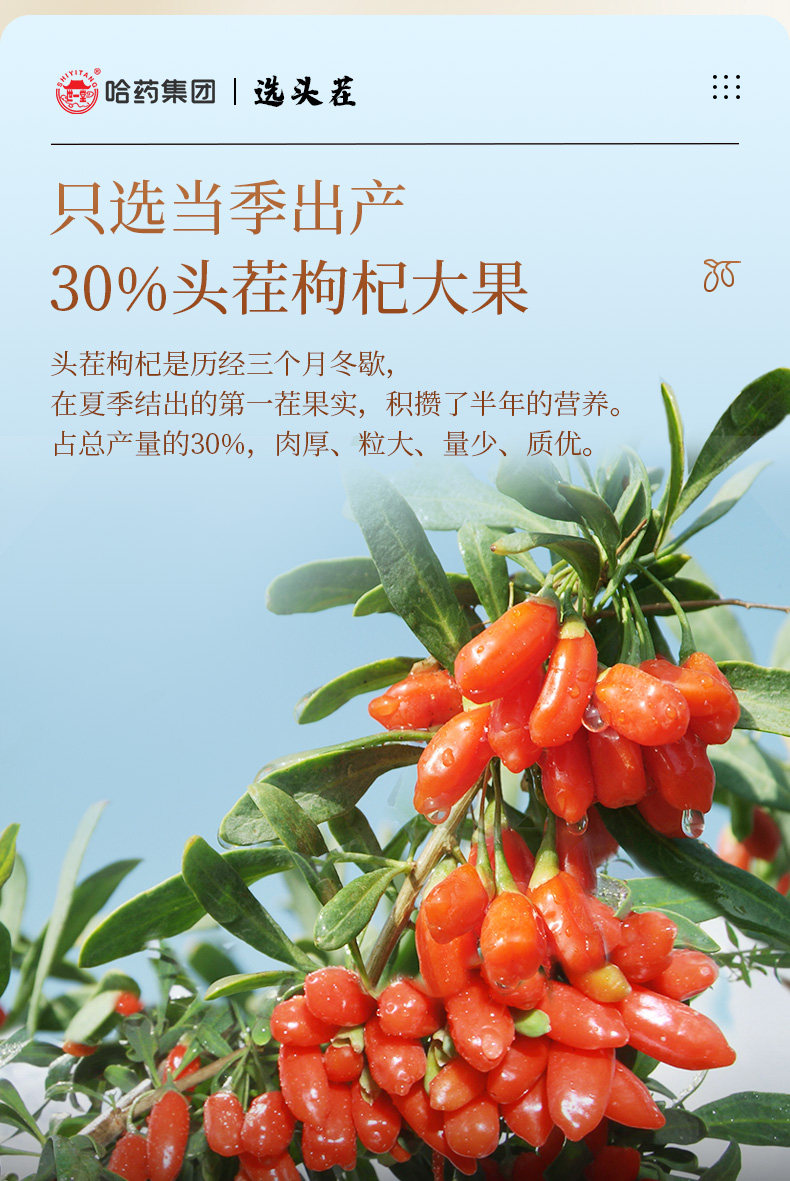 哈药集团出品,百年老字号:258gx2罐 世一堂 宁夏特优头茬构纪 拍2件39.8元包邮 值值值-买手聚集的地方