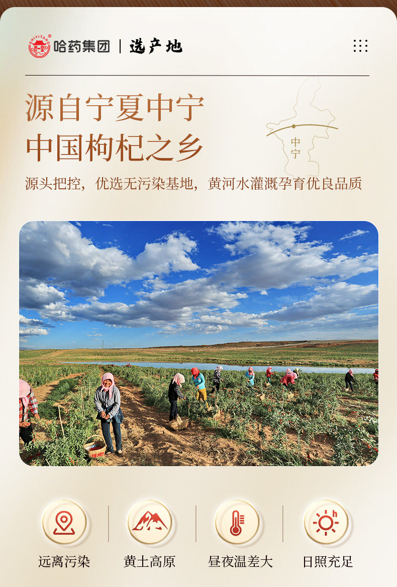哈药集团出品,百年老字号:258gx2罐 世一堂 宁夏特优头茬构纪 拍2件39.8元包邮 值值值-买手聚集的地方