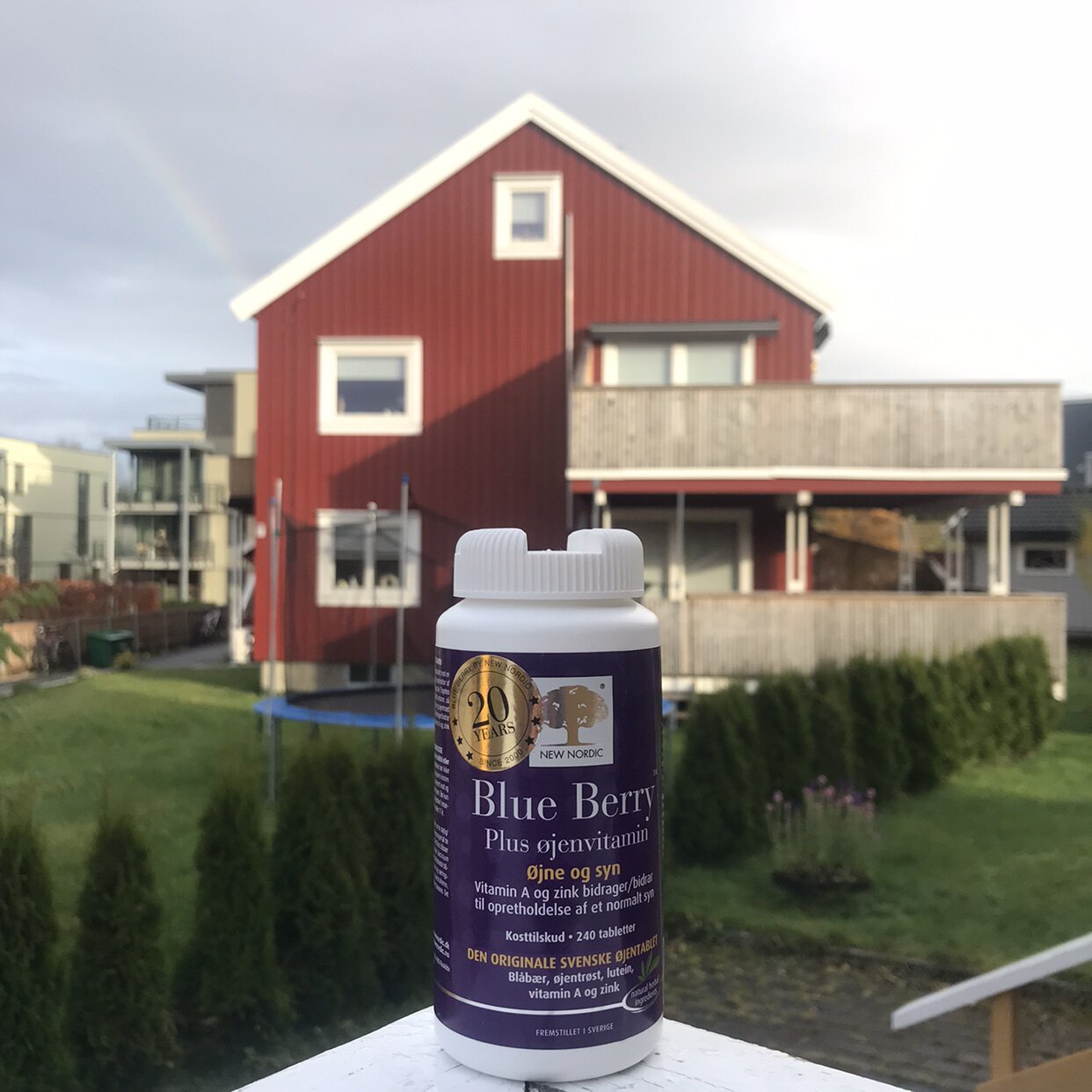 Norway new nordic blueberry bilberry anthocyanin lutein VA zinc millet grass