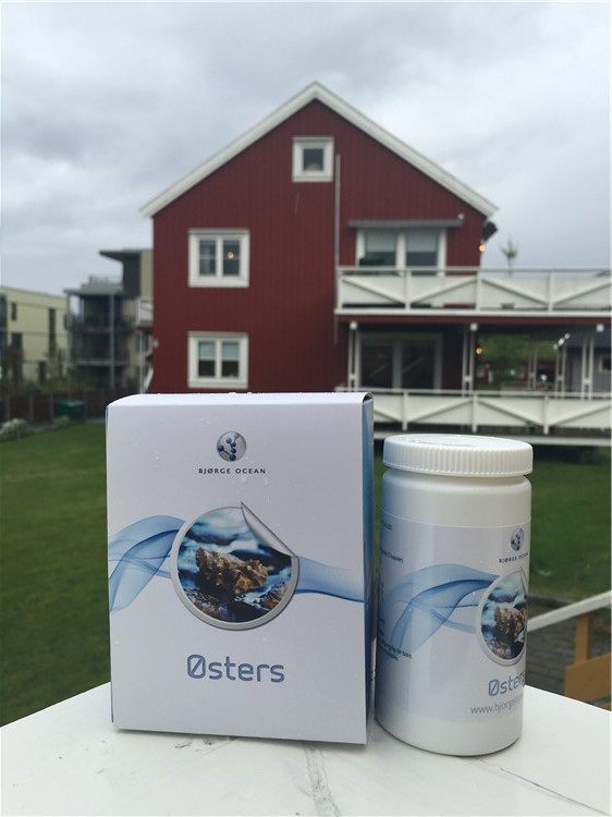 Norwegian Bjorg Ocean oyster powder zinc supplementation