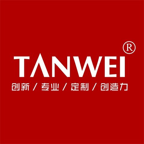 探伟旗舰店的LOGO