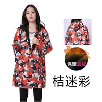 加绒戴帽桔蝴蝶