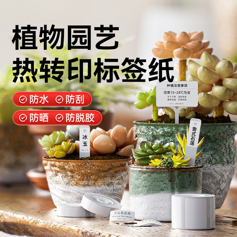 【M2/N1/B32/Z401 园艺标签】精臣热转印标签纸园艺t型多肉盆栽植物花卉名字地插牌塑料苗木挂牌定制标识牌