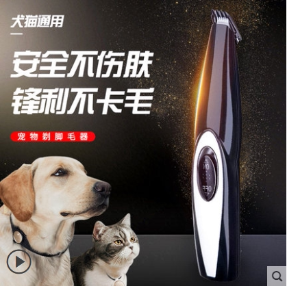 Pets shaved feet wool instrumental kitty Sole Myster Teddy Trim Muted Sole Cut Hair Shave Hair Shave