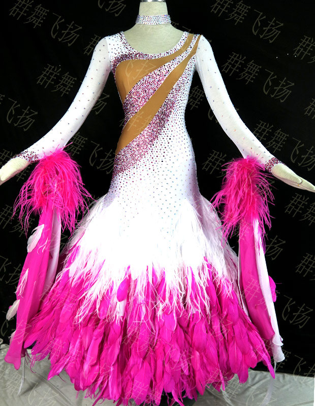 Morden Dance Dress Waltz Dance Dress National Mark Dance 2018 Social Dance Dress New Fancy Feather Dance Dress Custom
