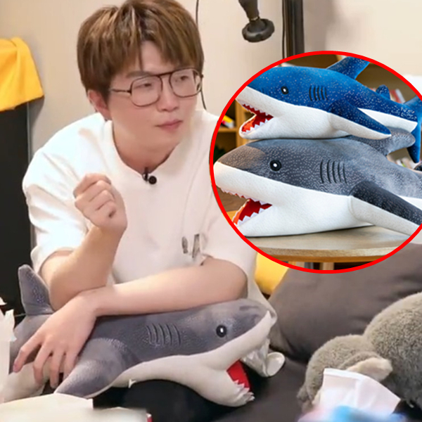 Gross snow Wangmao not easily the same style Pillow Shark Paparazzi Wool Suede Toy Great White Shark Boy Holding Pillow Cloth Doll Doll