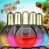 Масло для волос, кудрявый несмываемый шампунь для выпрямления волос, увлажняющая маска для волос подходит для вьющихся волос