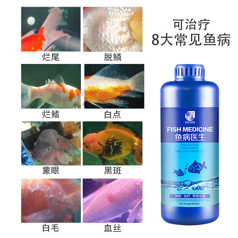 aquarium tropical fish ornamental