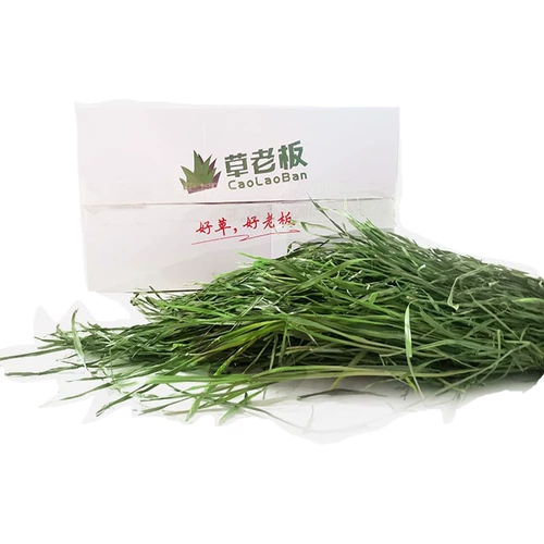 Высушенные фруктовые дерево