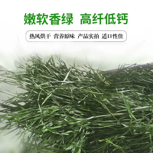 Высушенные фруктовые дерево