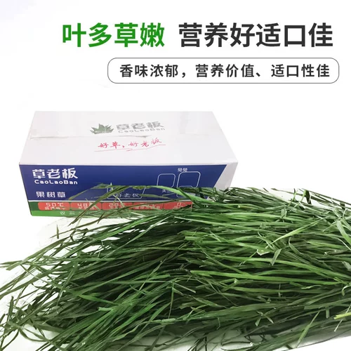 Высушенные фруктовые дерево