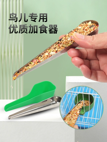 Tiger Parrot Feeder Bird Product