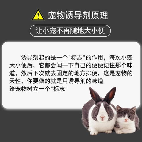 Индукционный агент туалета для домашних животных кролика Totoro Squirrel Dorch Dorch позиционирует плохой бассейн бассейна мочи 60 мл