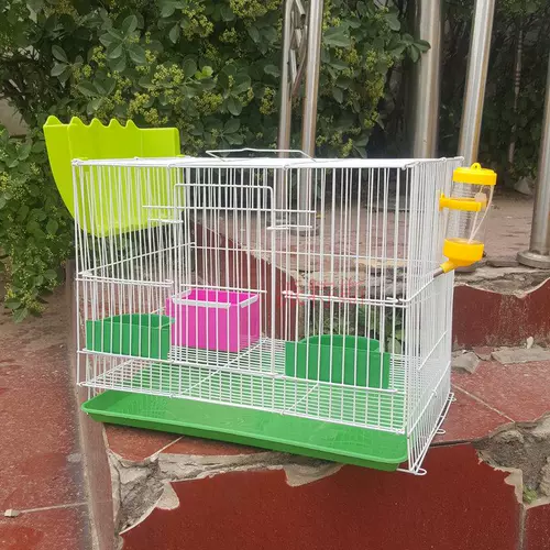 Национальная бесплатная доставка кроличья клетка становится кроличьей клетки для сосновой белки для пилочной пилоты питьевой воды клетки ежа