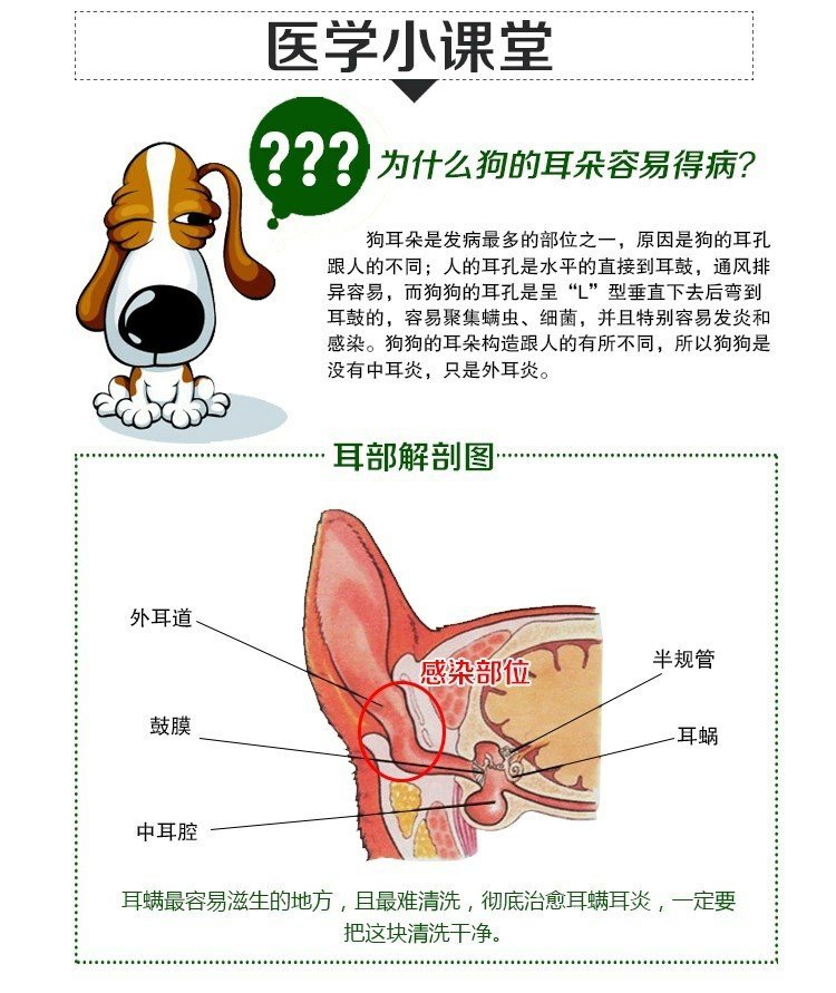 Wang Keke Wei Long Oridermyl tai da đờm thuốc thú cưng chó mèo điều trị điếc tai giữa 10g - Cat / Dog Medical Supplies 	bộ kim tiêm thú y