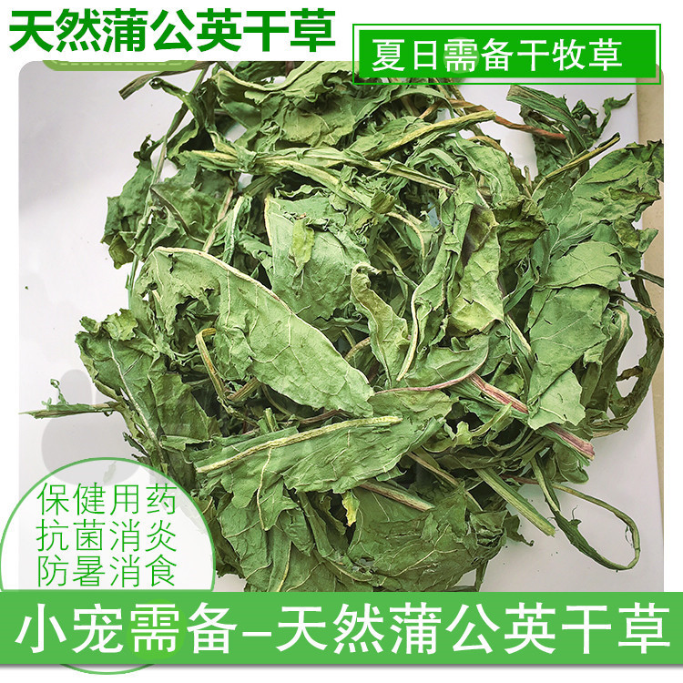 Health forage Dandelion hay Heat detoxification Antibacterial anti-inflammatory Chinchilla Rabbit 50g