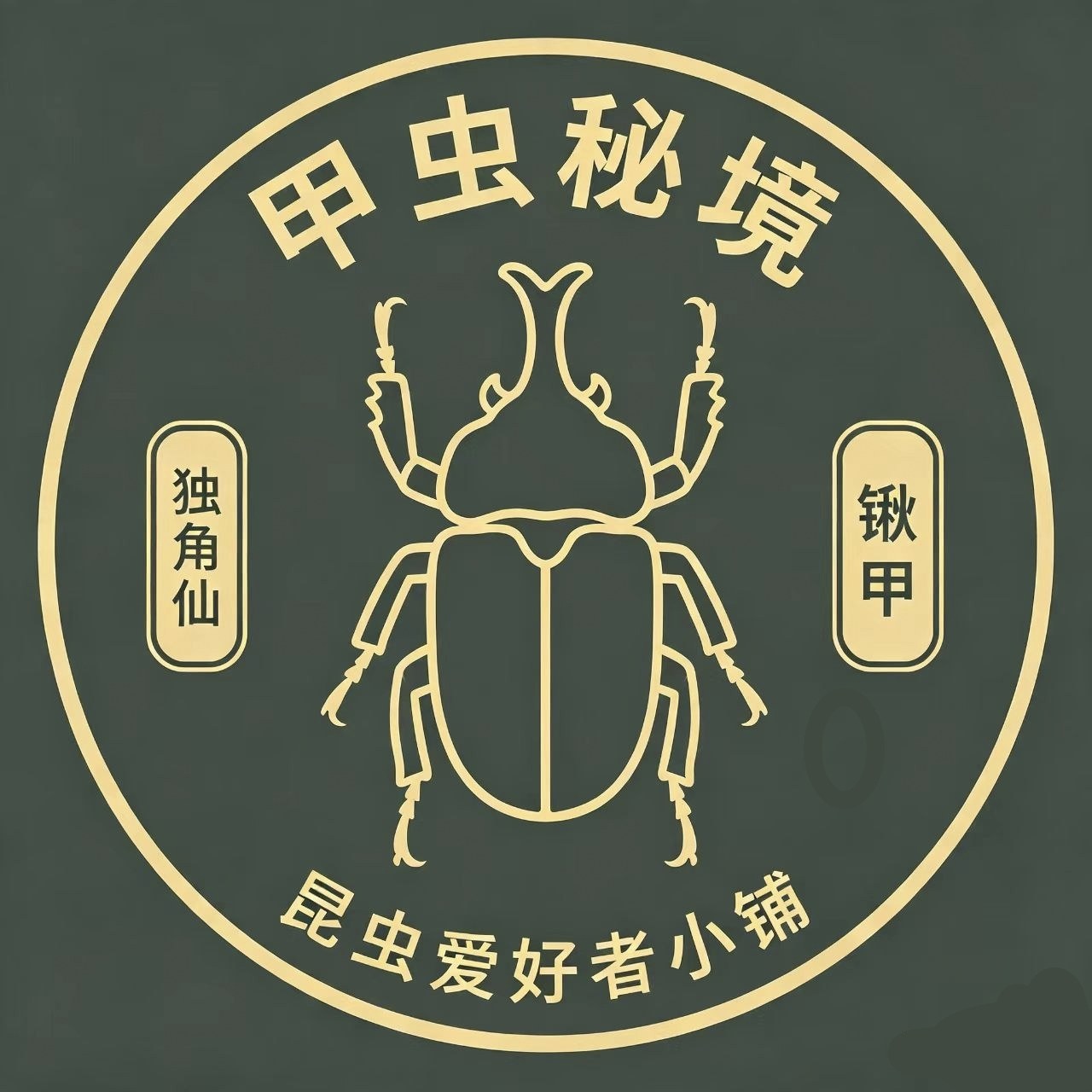 甲虫秘境