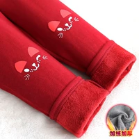 N40797 Jujube Red