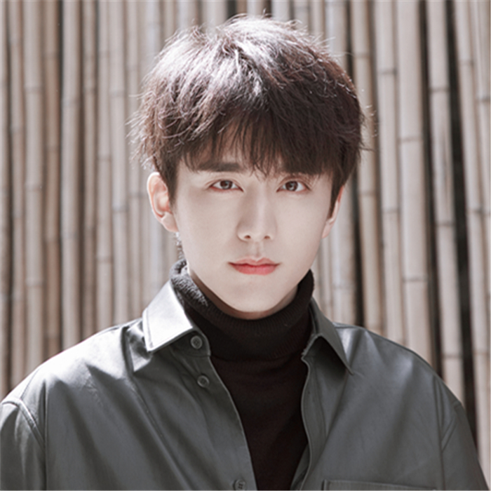 Net red with handsome wig male short straight hair fluffy Korean version realistic fashion student men's hairstyle whole top hair set