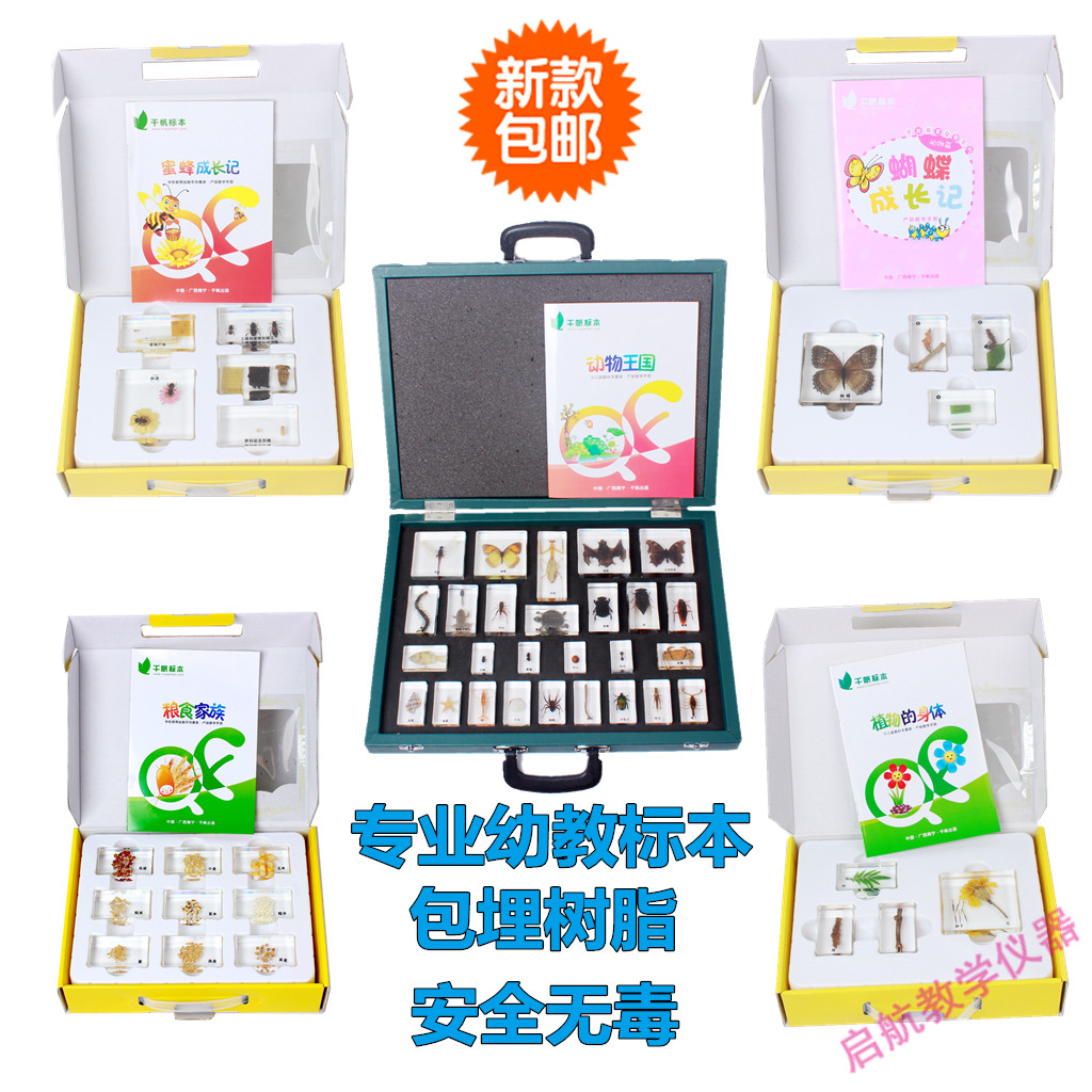 幼教标本动物植物幼儿园小学发现室生物教具活体树脂包埋标本