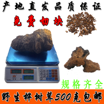 Birch velvet birch brown pore fungus 1-10 kg large pieces of various specifications complete birch tears Changbai Mountain birch yellow