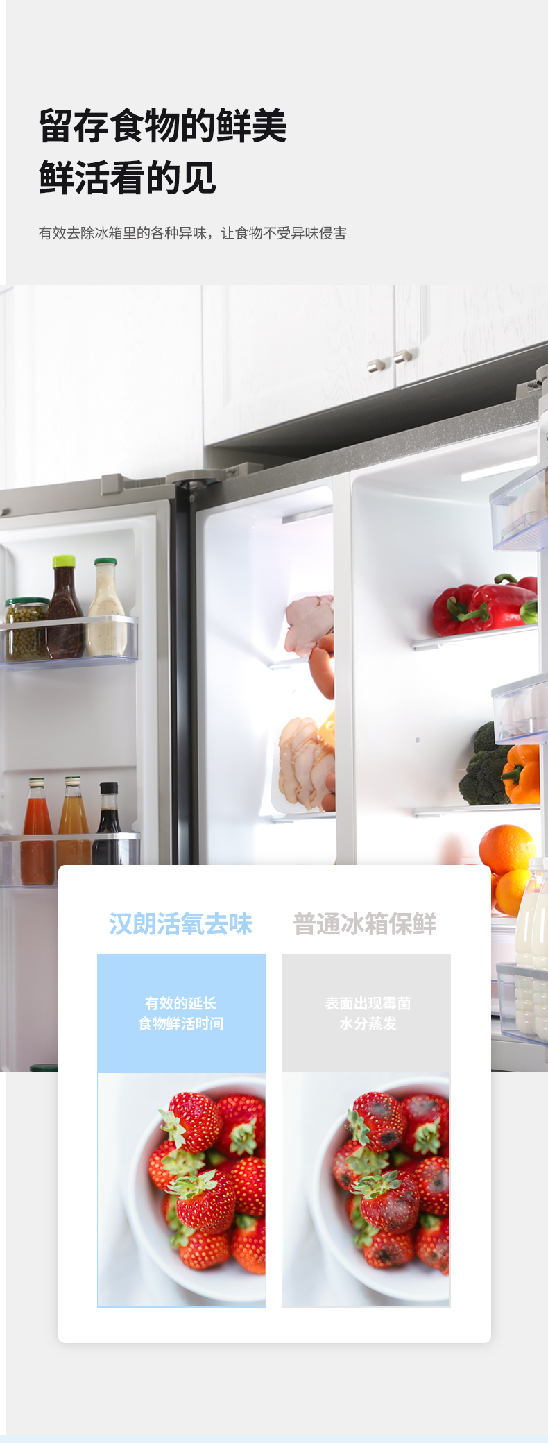 德国 汉朗 冰箱消毒杀菌除味器 0耗材 图6