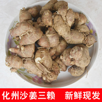 Huzhou fresh sand ginger sanlai Shannai fragrant chicken ingredients three sand ginger chicken ingredients fresh vegetables edible condiments