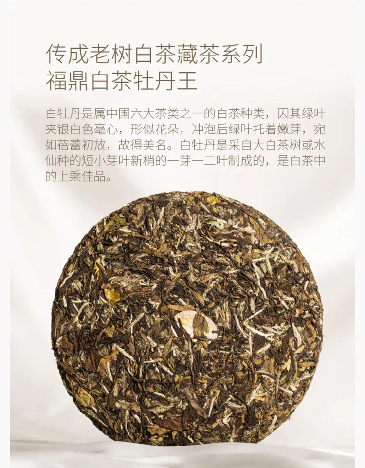 傳成老樹白茶9318特級明前花香白牡丹福建寧德福鼎高山茶葉送禮品