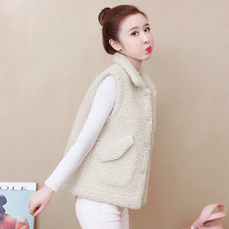 Vest with Fleece Lining, Lamb Wool, Warm for Spring, Autumn and Winter, New Korean Style, Loose Fit, Fur Integrated, Sleeveless Vest Jacket