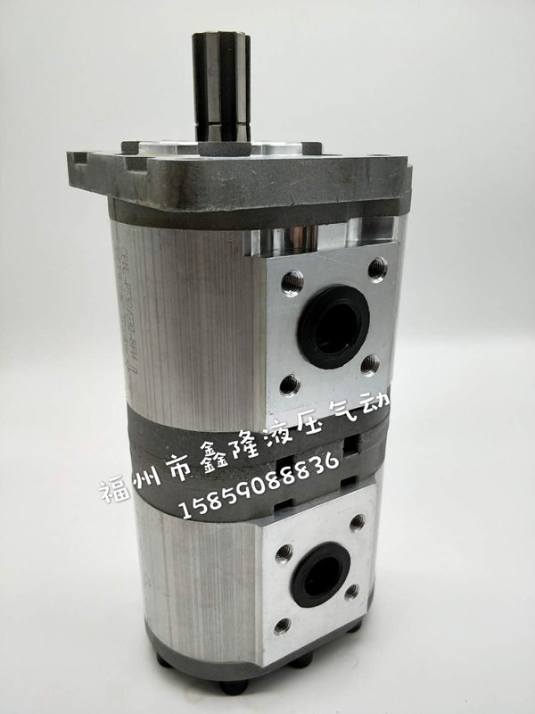 Hydraulic duplex gear oil pump CBNL550 550B FL 563550580563 duplex gear pump