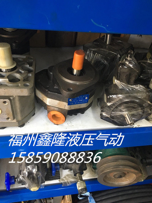 Small Loader Accessories Oil Pumps CBFC-10 16 25 32 32 40 Small Shovel Car Accessories High Pressure Gear Oil Pumps