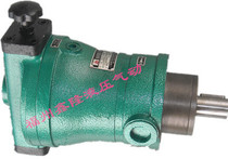 Quantitative plunger pump 100MCY14-1B 100scy14-1b 100ycy14-1b axial plunger pump