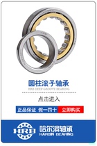 HRB cylindrical roller bearing NJ210EM NU210EM N210EM 42210 inner diameter 50 outer diameter 90 with thickness of 20mm