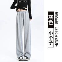 Серый【Маленький】