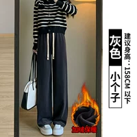 Серый [добавить маленький пухлый зимой]