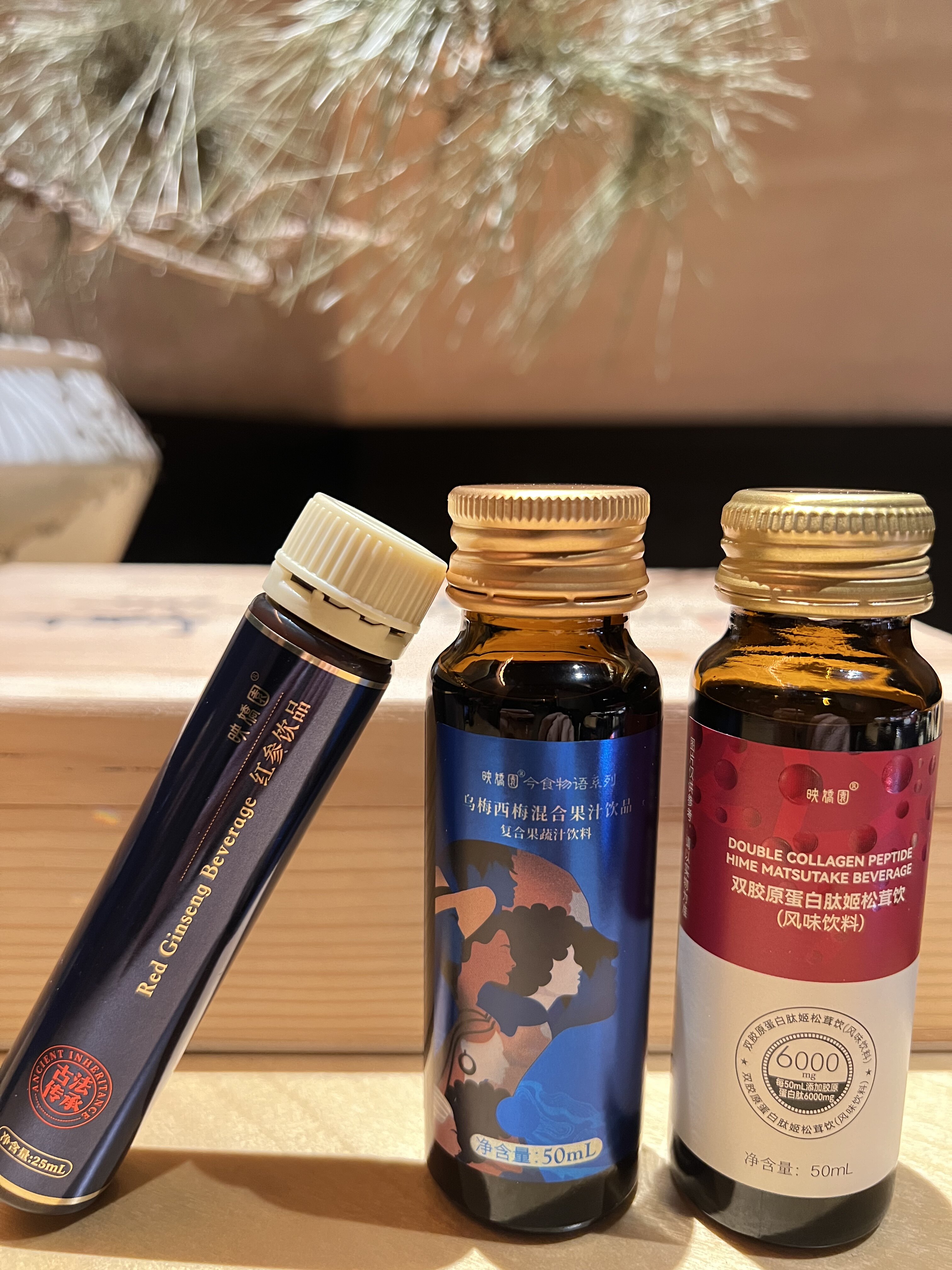 欧贝儿燃咖酵素红参批发代理的LOGO