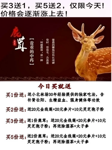 Северо -восточный китайский олень Antoles ТАБЛИЦА ПОДЕРЯТЬ ДРЕЙНА