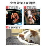 Pet Menstrual Pad Dog Dog Menstrual Physiological Bants Care Pad Teddy Suck Одноразовая санитарная подушка подгузники