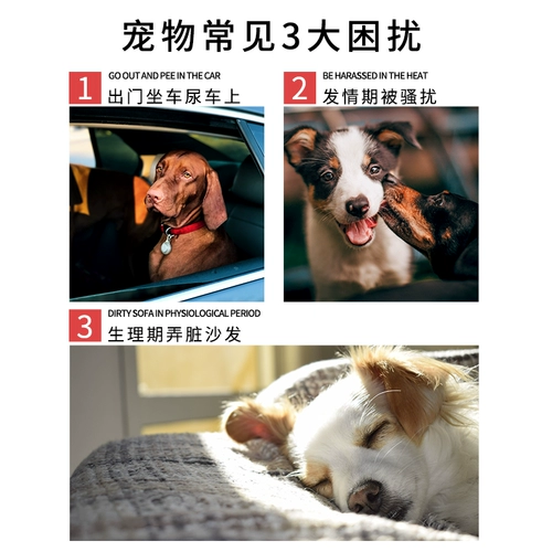 Pet Menstrual Pad Dog Dog Menstrual Physiological Bants Care Pad Teddy Suck Одноразовая санитарная подушка подгузники