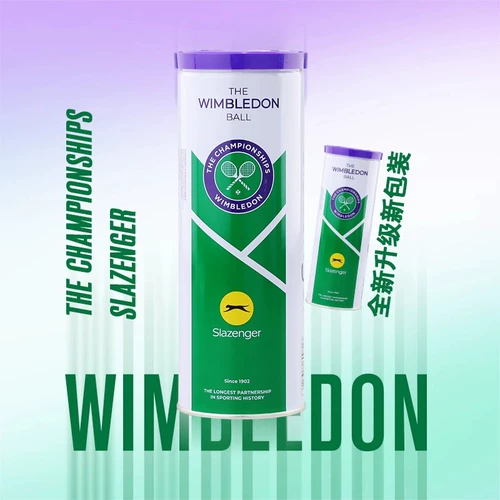 Slazenger Swelins теннис Wimmed Training Ball Ball Ball Iron Can Tennis 3, 4 капсулы