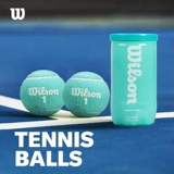 Wilson Wilson Shanghai Masters Tennis French Open US Open тренировочный мяч для соревнований резиновый консервированный теннисный мяч с давлением