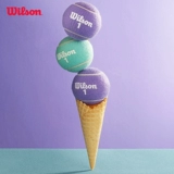 Wilson Wilson Shanghai Masters Tennis French Open US Open тренировочный мяч для соревнований резиновый консервированный теннисный мяч с давлением