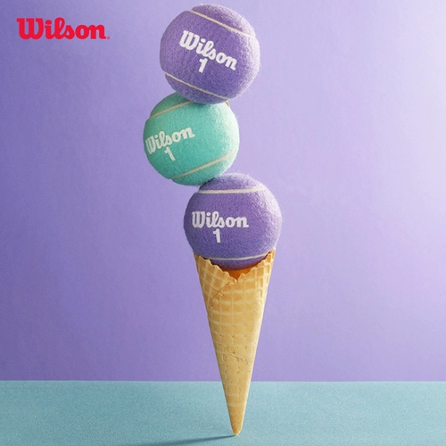 Wilson Wilson Shanghai Masters Tennis French Open US Open тренировочный мяч для соревнований резиновый консервированный теннисный мяч с давлением